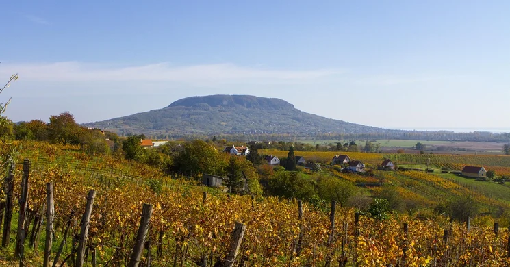 Szabó Családi Pince