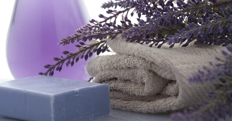 Levendula Vendégház és Apartmanház Pannonhalma