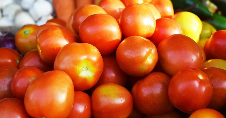 Vásárcsarnok Salgótarján