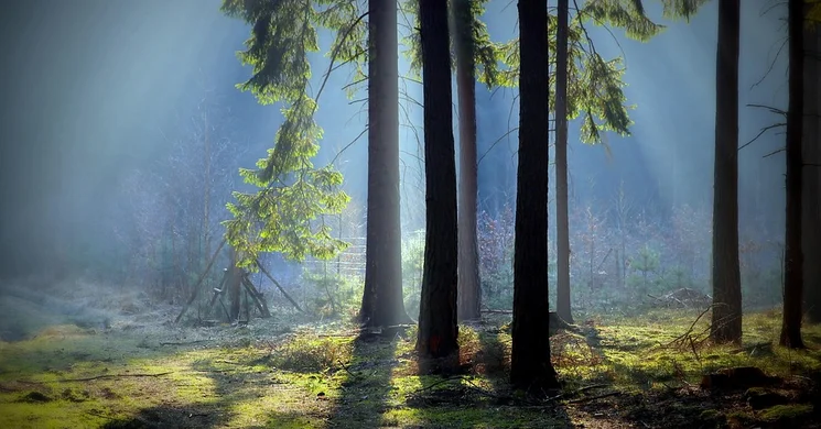 Őszi Mátra teljesítménytúra 2026