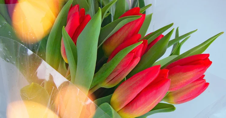 Nőnapi Koncert Püspökladány 2026