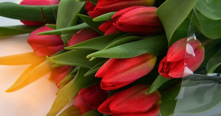 Nőnap Komárom 2025