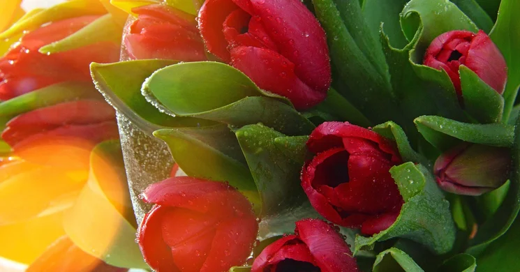 Nőnapi party Székesfehérvár 2026