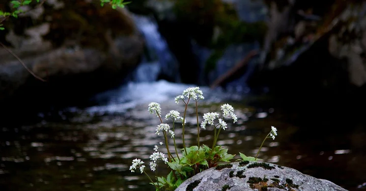 Malom-völgy tanösvény