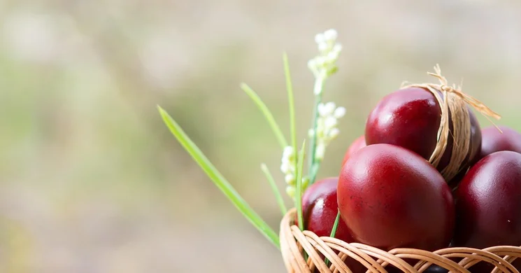 Húsvét Pápa 2026. Pannonia Reformata Múzeum