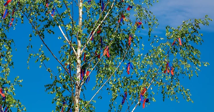 Majális Nagymágocs