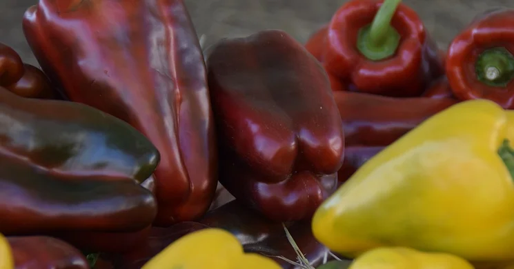 Vásárosnaményi Piac 2025