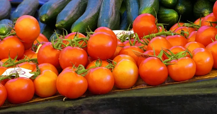 Termelői Piac Kőszegszerdahely 2025