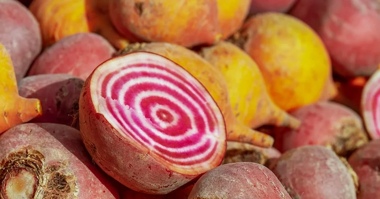 Szekszárd Piac 2025