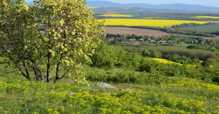 Cigány-hegyi-kilátó