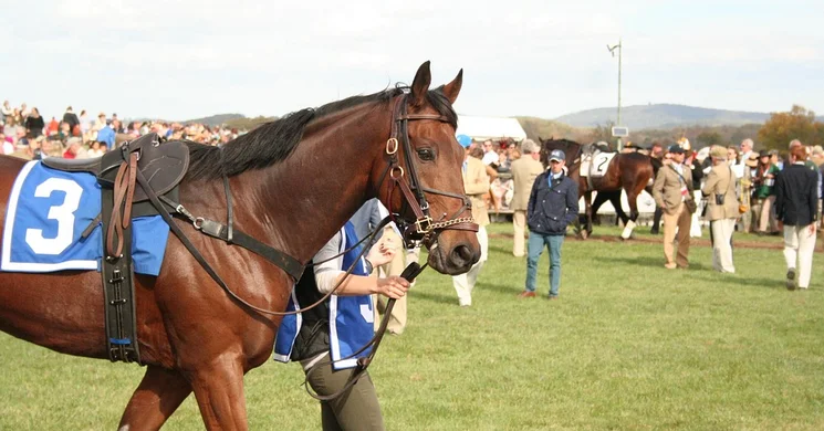 Lóversenyek Budapest 2025. Várjuk a Kincsem Parkban