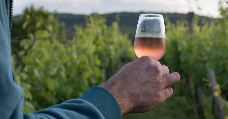 Nyitott Pince Nap Cegléd 2025