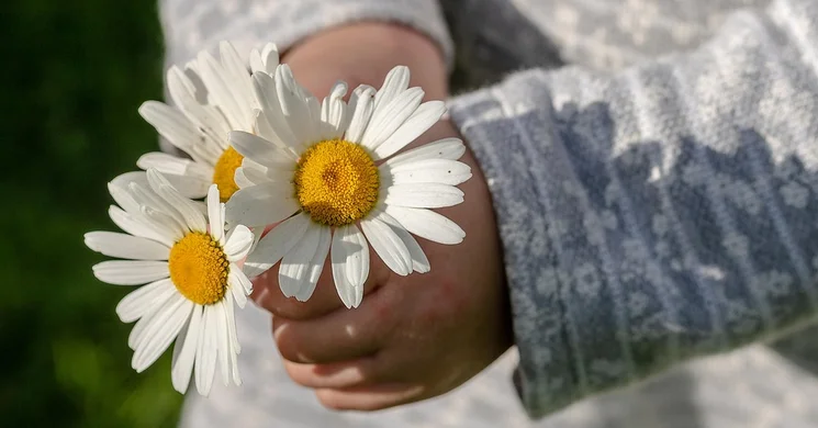 Gyereknap Újpest 2025