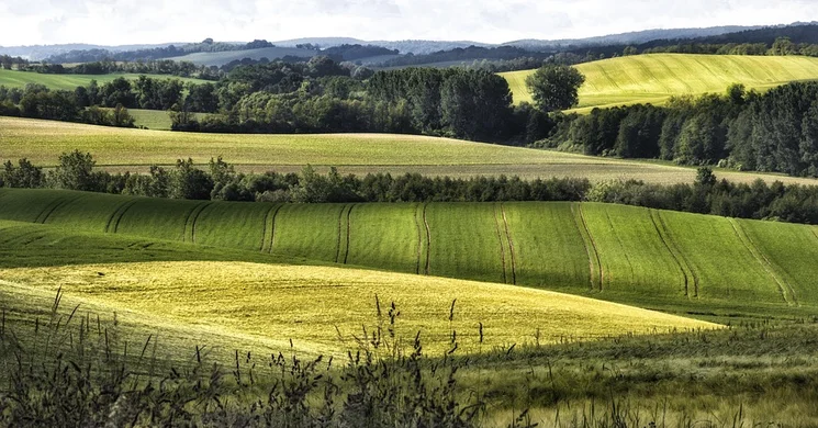 Bakonyi programok 2025. Fesztiválok, események, rendezvények