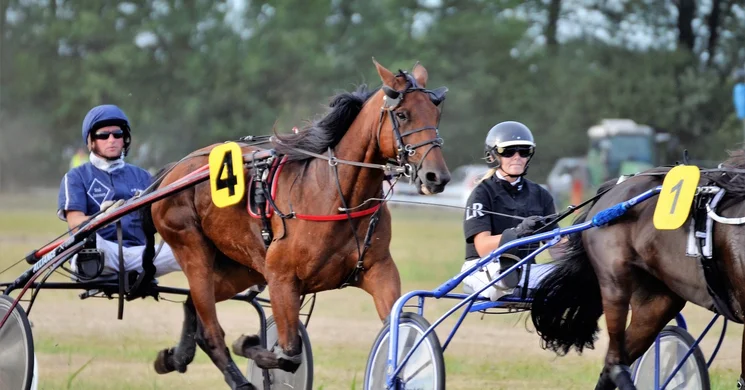 Ügetőszilveszter 2026. Kincsem Park Budapest szilveszteri program