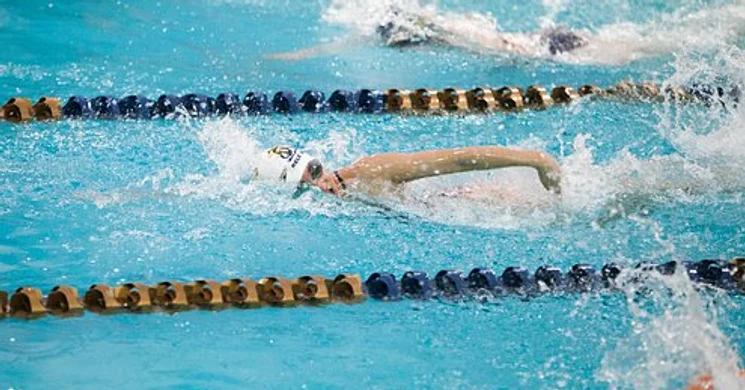 Úszó Világkupa Budapest