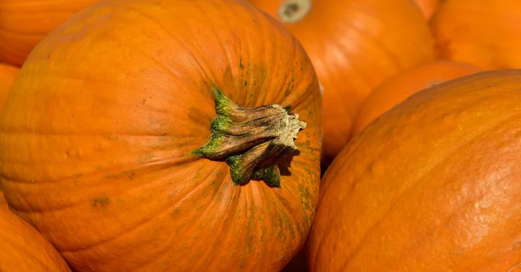 Fertőszéplaki Tökfesztivál 2025