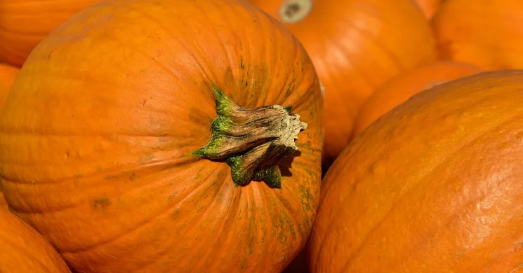 Halloween Balatonederics 2025