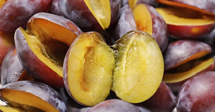 Nemzetközi Szilvalekvárfőző Fesztivál Szatmárcseke 2025