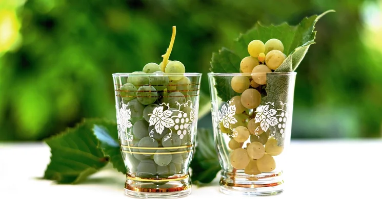 Szüret Csönge 2025