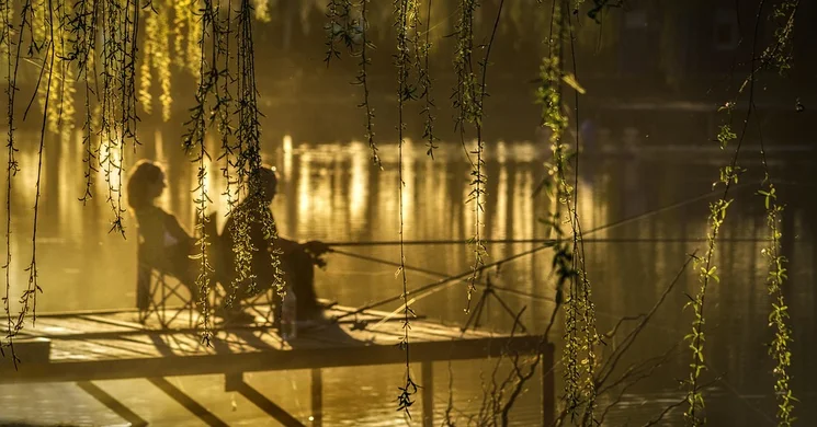 Pecamánia Road Show 2025. Pecamánia versenyek