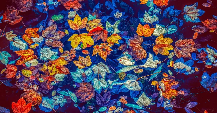 Őszi Művészeti Hetek Békéscsaba 2025