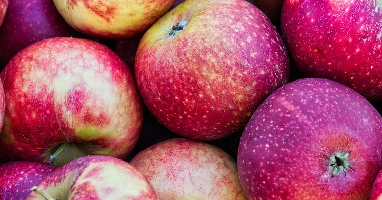 Nádudvar Termelői Piac 2025