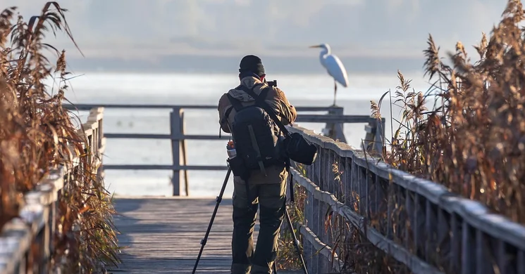Madárerdő tanösvény Nagykanizsa