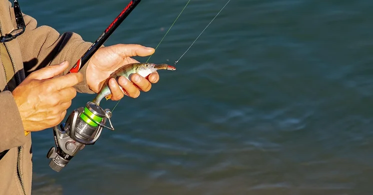 Ezerjó Major Horgásztó