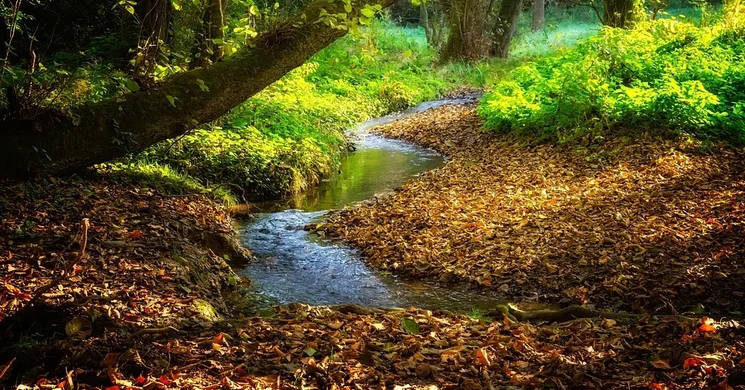 Királyvölgyi Természetvédelmi Tanösvény, ökotúra az Irottkői Natúrparkban