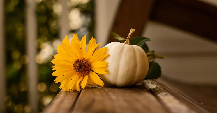 Békési Tökmulatság