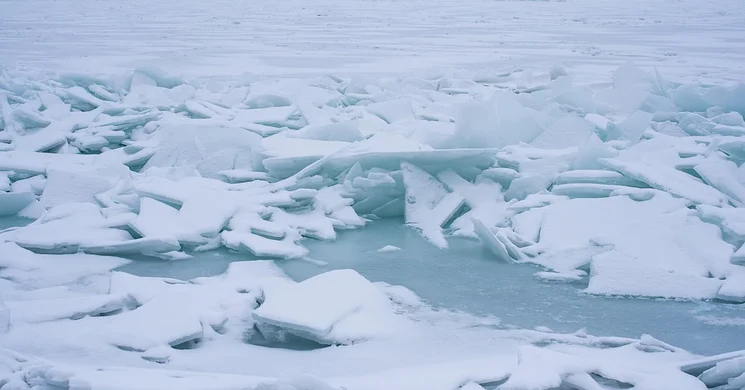 Nagymarosi újévi csobbanás