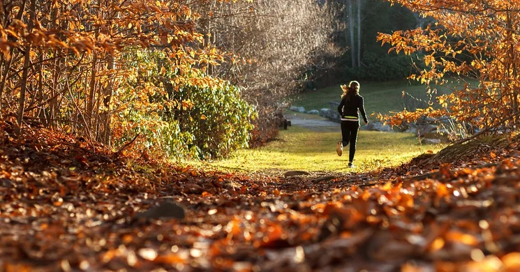Intersport eseménynaptár 2025. Versenyek, programok, események, rendezvények