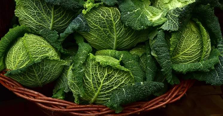 Pesti Biopiac és Vásárcsarnok Budapest 2025