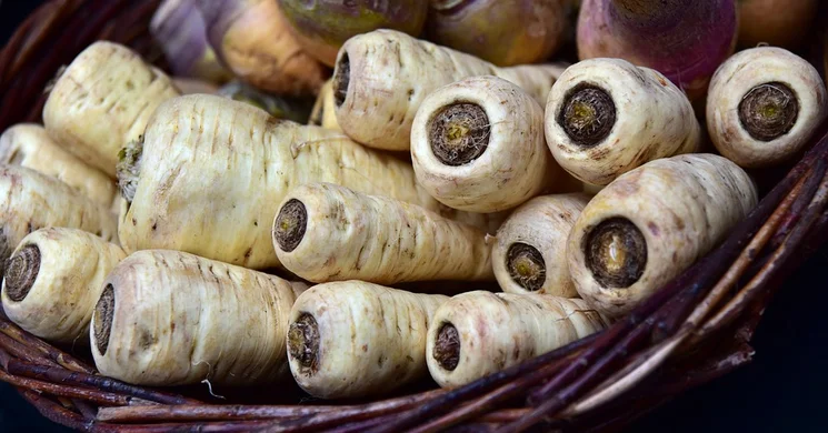 Prügy termelői piac 2025