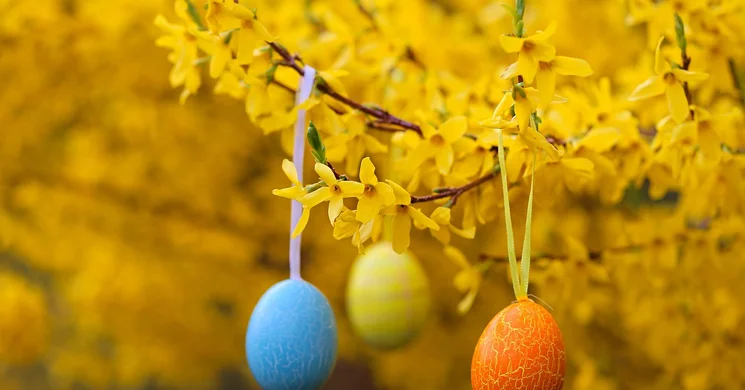 Húsvét Vásárosnamény 2025. Húsvéti programok a Movie Planetben