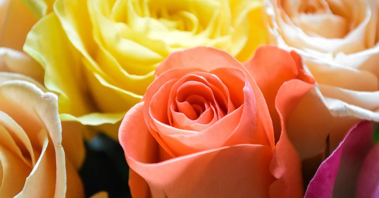 Nőnapi koncert Miskolc