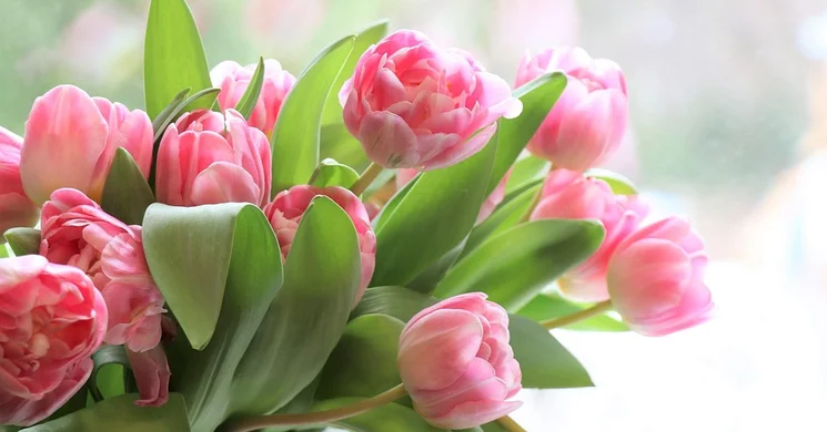 Nőnap Mátrakeresztes 2025