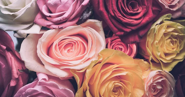 Nőnapi program Miskolc 2025