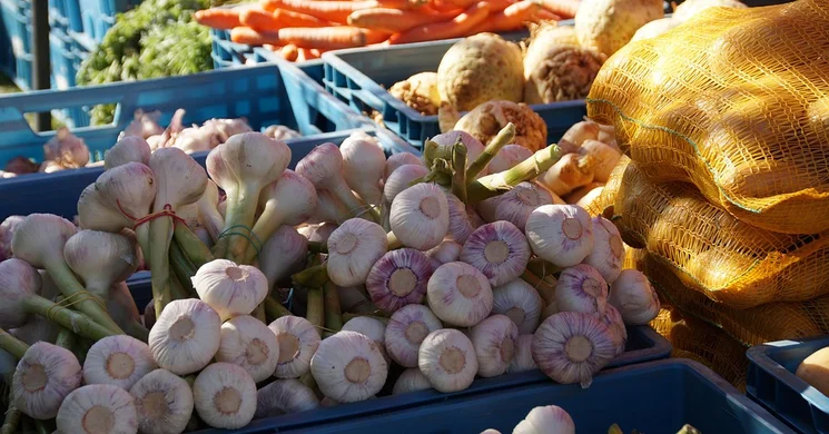 Termelői Piac Zalaegerszeg 2025