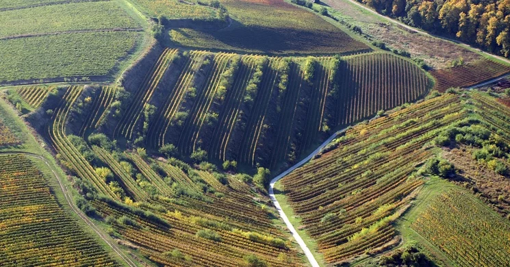 Villányi BorZsongás Fesztivál 2026