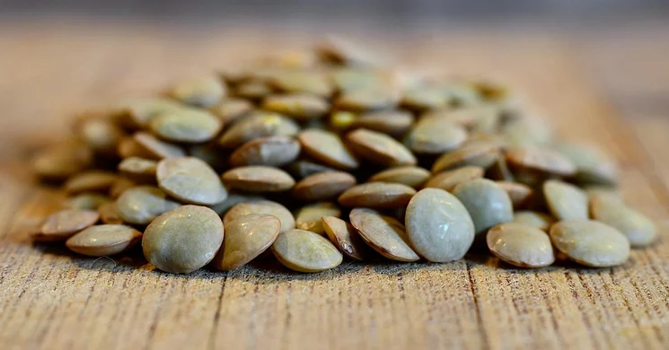 Szerencsehozó Lencse 2025 Székesfehérvár. Újévköszöntő hagyományőrző program