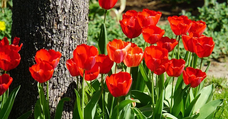 Nőnapi túra 2026 Csévharaszt