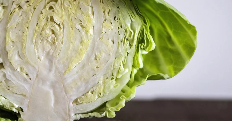 Káposztafőző verseny 2025 Csongrád