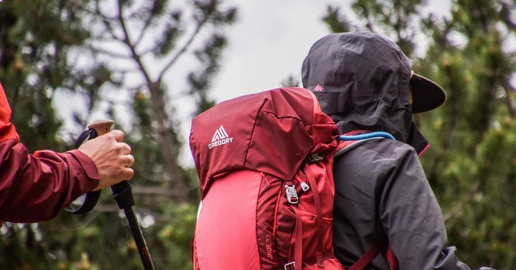 Dunaszentmiklósi kirándulás, egyéni vagy családi túra a Kőpite-hegy turistaúton