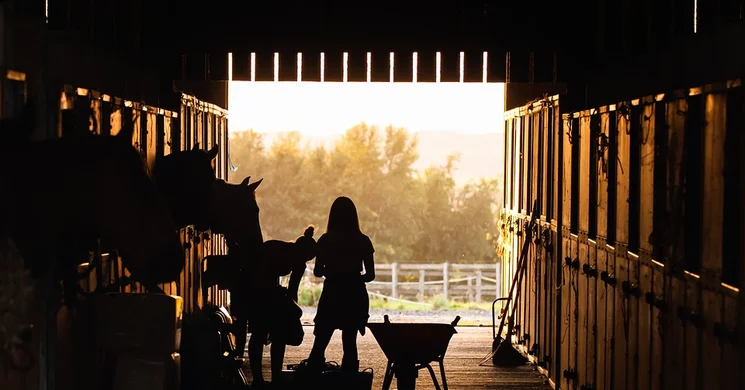 Mathias Lovas Panzió Kemence