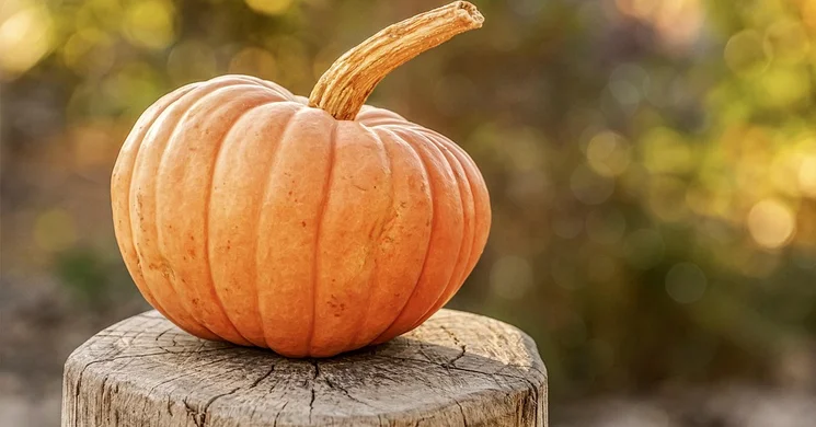 Halloween Budaörs 2025. programok, események, rendezvények