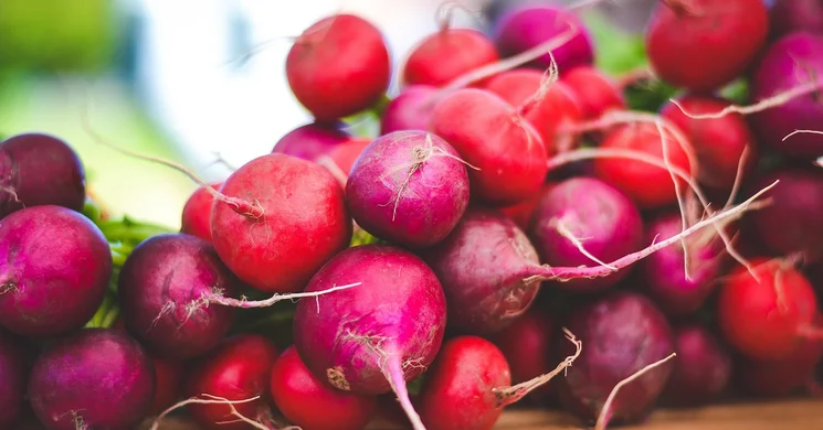 Monostori Piac Szigetmonostor 2025