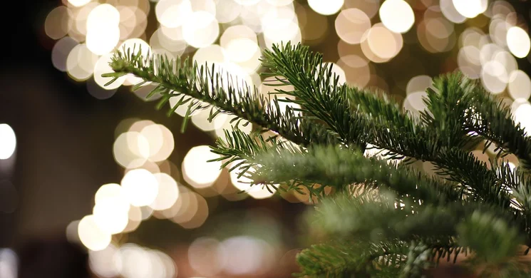 Advent Ráckeve 2025