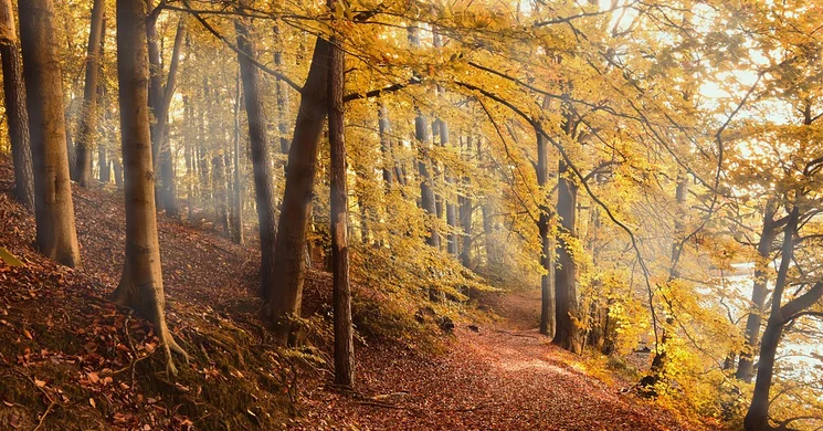 Októberi fesztiválok 2025